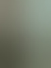 hansl48