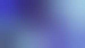 hollatv