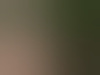 martin64